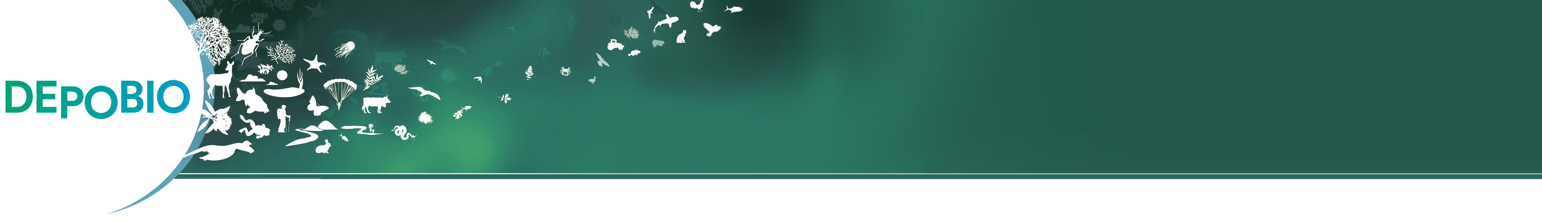 Bandeau Depobio